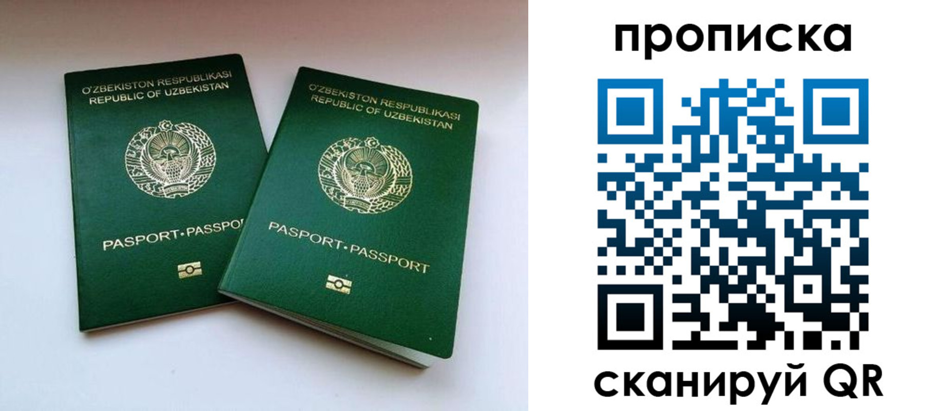 прописка поиск в Боброве